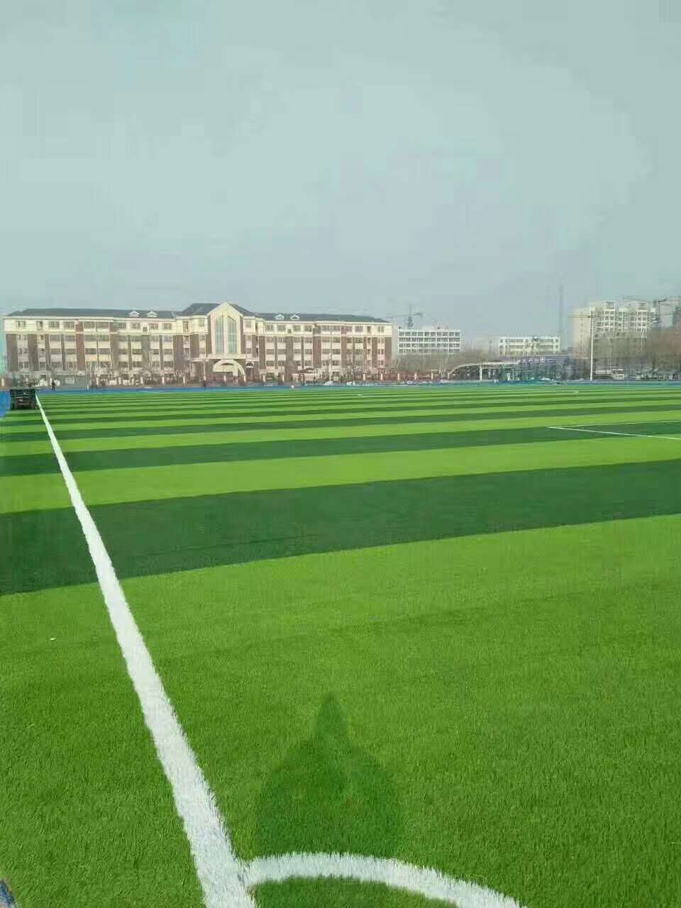 石嘴山市健身步道仿真草坪 - 排名